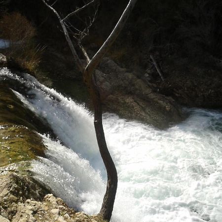 El Descanso กาซอร์ลา ภายนอก รูปภาพ